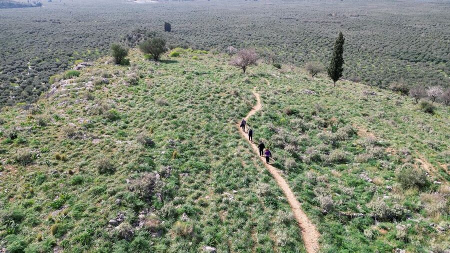 Delphi: Easy Hike on Ancient Path through the Olive Groves - Valley views and quest-style fun along the way