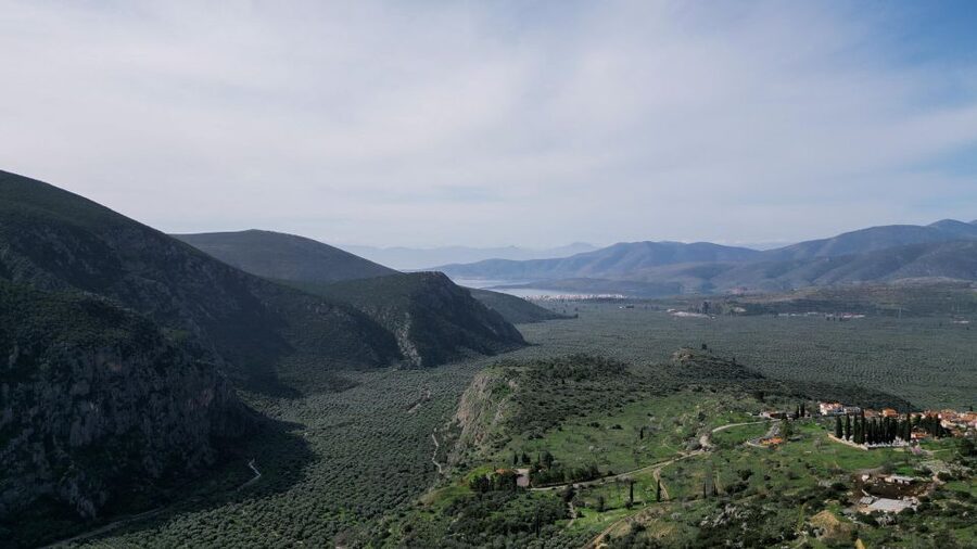 Delphi: Easy Hike on Ancient Path through the Olive Groves - Practical tips so you enjoy it in real life