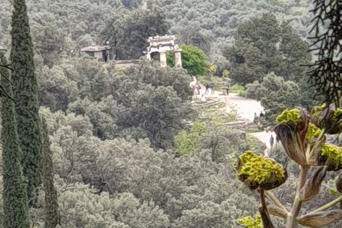 Delphi - Exploring Greece’s Ancient Past - Price: Is $738.40 Worth It for a Group of 4?