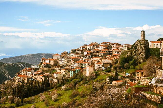 Delphi full day V.R audio guided tour with entry ticket - Price and value: when $36.30 makes sense, and when it might not