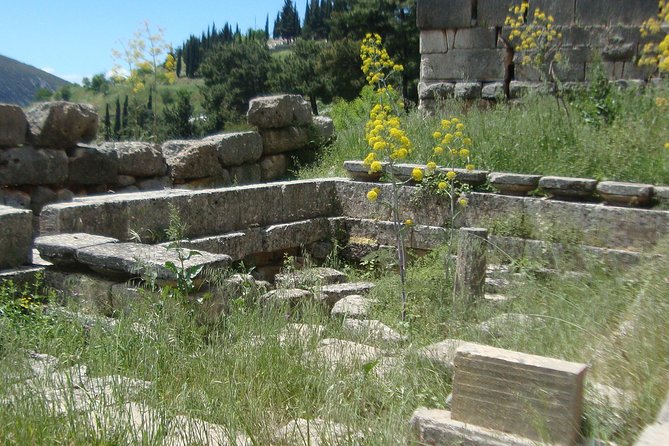 Delphi Self-guided Audio Tour on Your Phone (no ticket) - Using the self-paced format to beat crowds and protect your attention