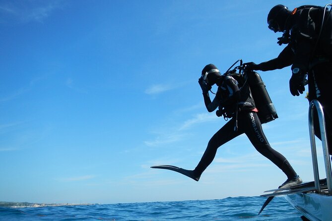 Discover Scuba Diving Private Fun Activity in Athens - Private Transfer Details That Keep the Day Low-Stress