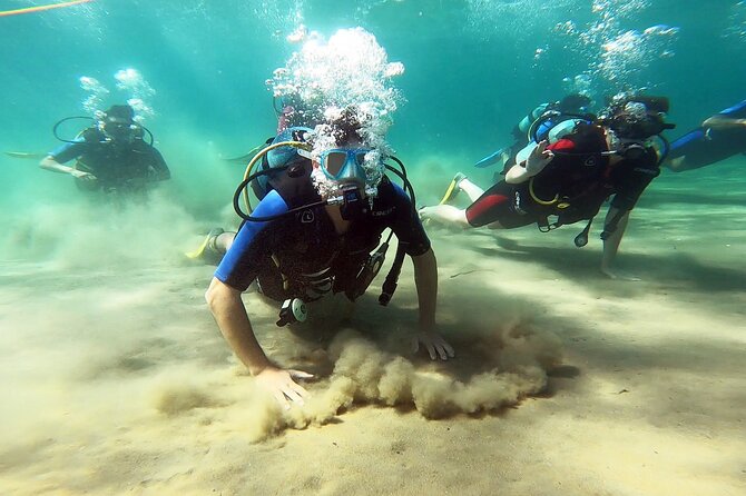 Discover Small Group Scuba Diving Experience in Nea Makri, Athens - Key things you will notice fast
