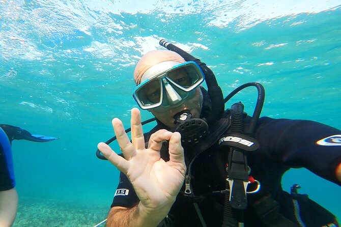 Discover Small Group Scuba Diving Experience in Nea Makri, Athens - A 4-hour flow that teaches you before you go deeper