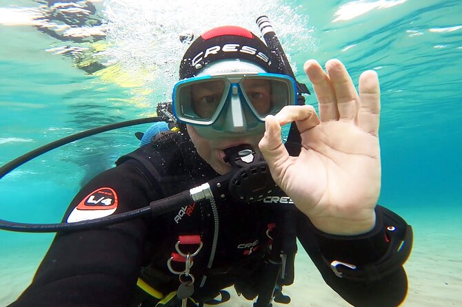 Discover Small Group Scuba Diving Experience in Nea Makri, Athens - Who this is for, and who should think twice
