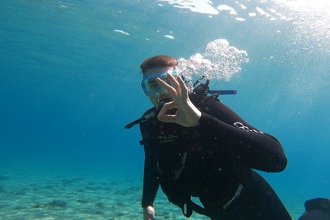 Discover Small Group Scuba Diving Experience in Nea Makri, Athens - Price in context: why $108.61 can be good value