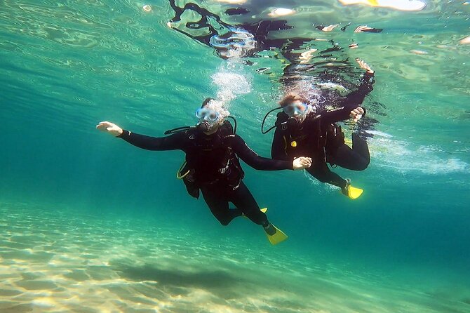 Discover Small Group Scuba Diving Experience in Nea Makri, Athens - What to bring, where language fits, and how to set your day up