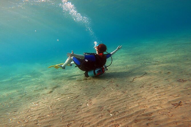 Discover Small Group Scuba Diving Experience in Nea Makri, Athens - Schinias Beach, and what you can realistically expect to see