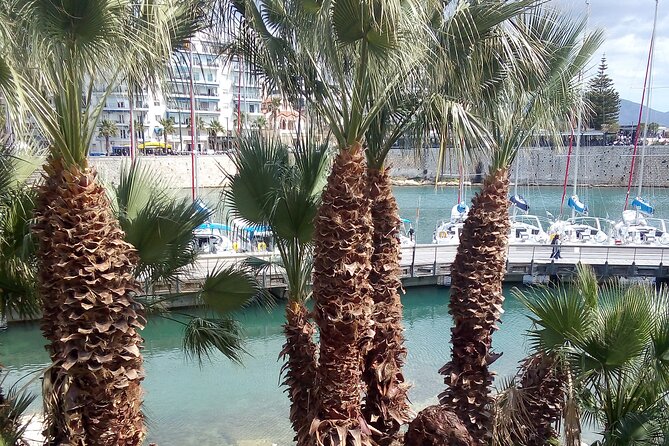 Discovering & Uncovering Piraeus: Hidden Gems and Local Secrets - Mikrolimano and Pasalimani: two marinas, two different ways to watch the sea