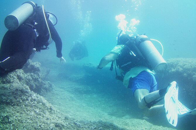 Double Shore Dive (certified divers) - Price and value: does $243.10 per person make sense?