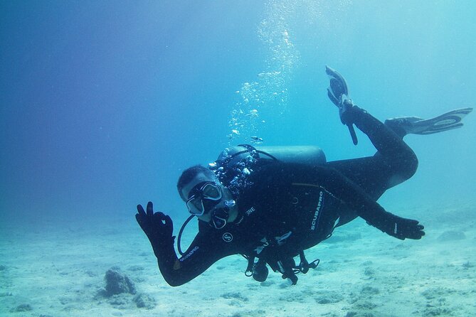 Double Shore Dive (certified divers) - How the Athens shore locations change with weather