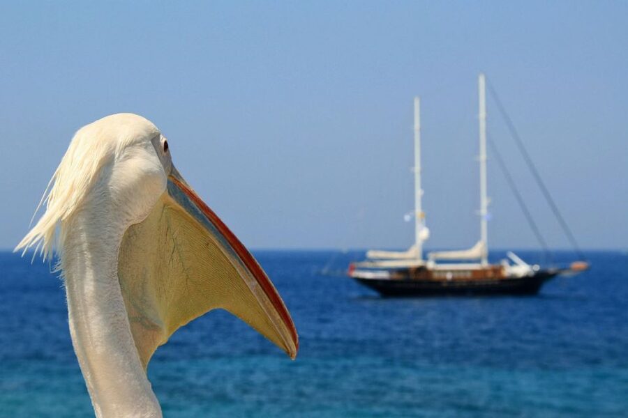 From Athens: 2-Day Santorini and Mykonos Trip - The 6-Hour Santorini Ferry Ride and That First Caldera Reveal