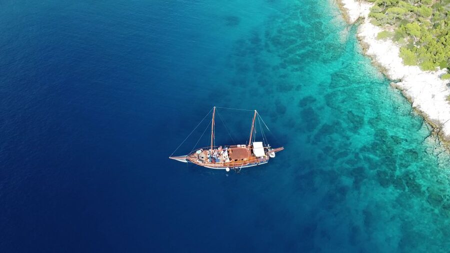 From Athens: Aegina, Agistri and Metopi Day Cruise w/ Lunch - Returning toward Athens with more snacks and dolphin watching