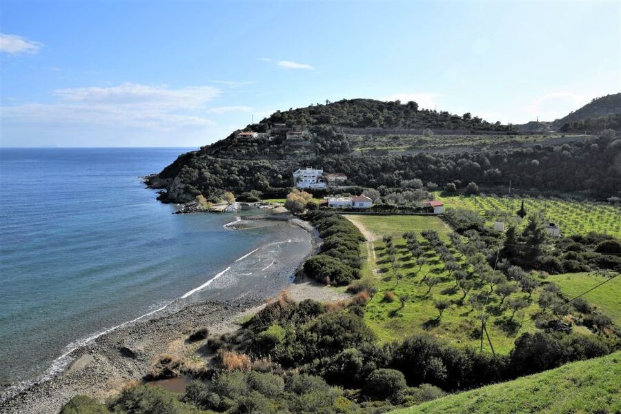 From Athens: Aegina Island E-Bike Tour with Ferry Tickets - The Piraeus ferry ride: your 75-minute break before cycling