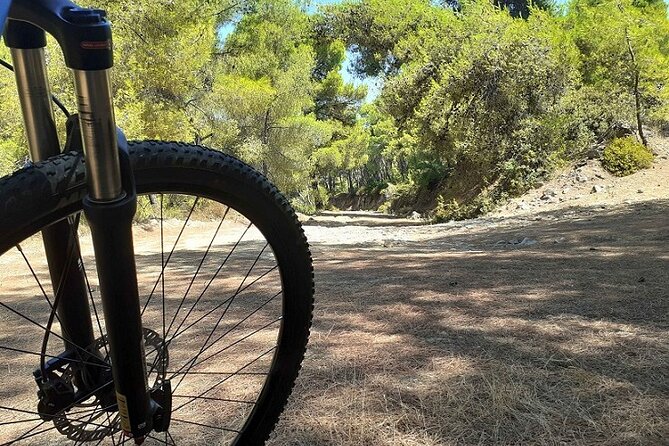 From Athens: Aegina Island E-bike & Walking Day Tour - Temple of Aphaia, where the guide turns ruins into a story