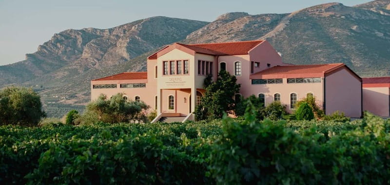 From Athens: Ancient Sparta and Nemea Wine Country Day Trip - Lunch and the Break Reality on an 8-Hour Schedule