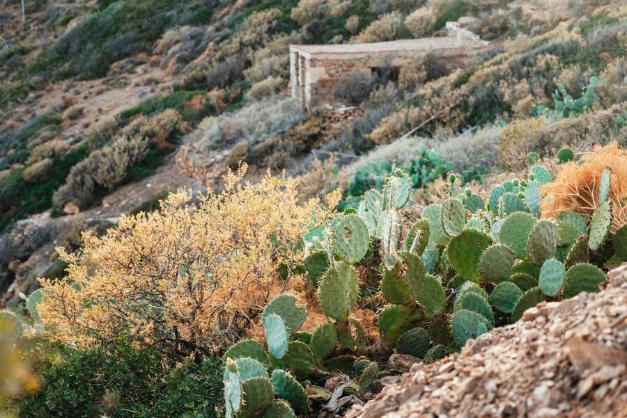 From Athens: Cape Sounion & Temple of Poseidon Half Day Tour - Price and value: what $44.60 really buys you