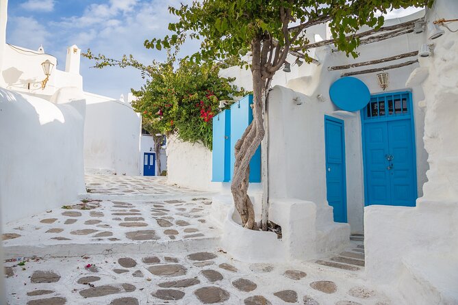 From Athens: Day Tour to Mykonos - Price and logistics: is $253.43 a fair value for this day?