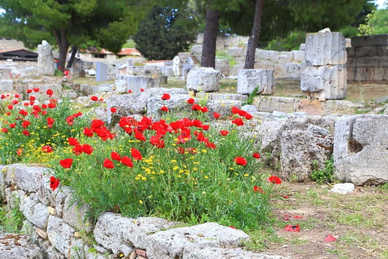 From Athens: Explore Ancient Corinth & Charming Nafplion - How the bus ride, pickup timing, and headsets shape your day