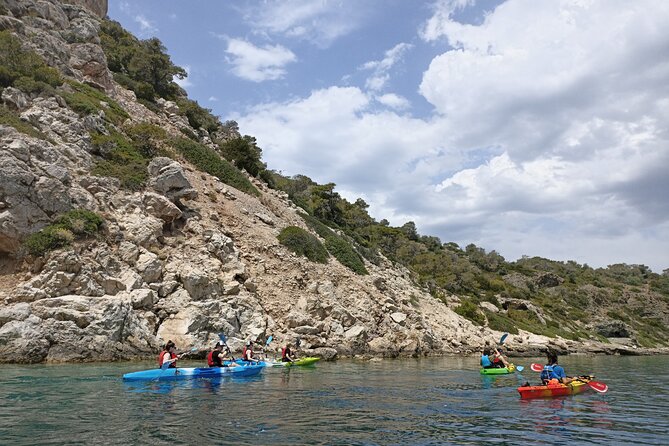 From Athens Half Day Sea Kayak Tour at the Corinthian Gulf - Snorkeling Gear Included, and the Wildlife Moment