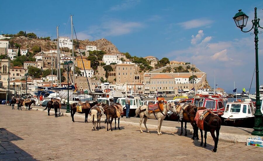 From Athens: Hydra Island Private Day Trip - Who this Hydra day trip is best for