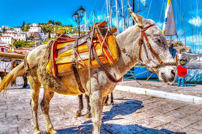 From Athens: Hydra, Poros, and Aegina Day Cruise with Lunch - Poros: the short stop that works when you target one area
