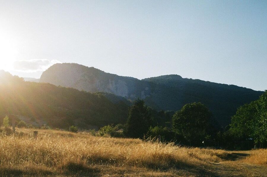From Athens: Mt. Olympus National Park Guided Day Tour - Timing, transport, and how not to burn out