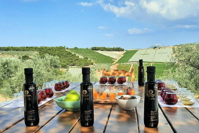 From Athens: Olive Oil Tasting, Olive Grove & Wine Experience - Key highlights worth your time