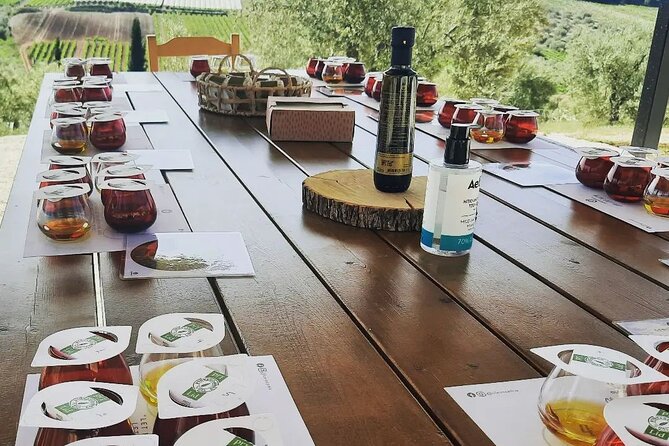 From Athens: Olive Oil Tasting, Olive Grove & Wine Experience - Who This Tour Suits Best in Greece
