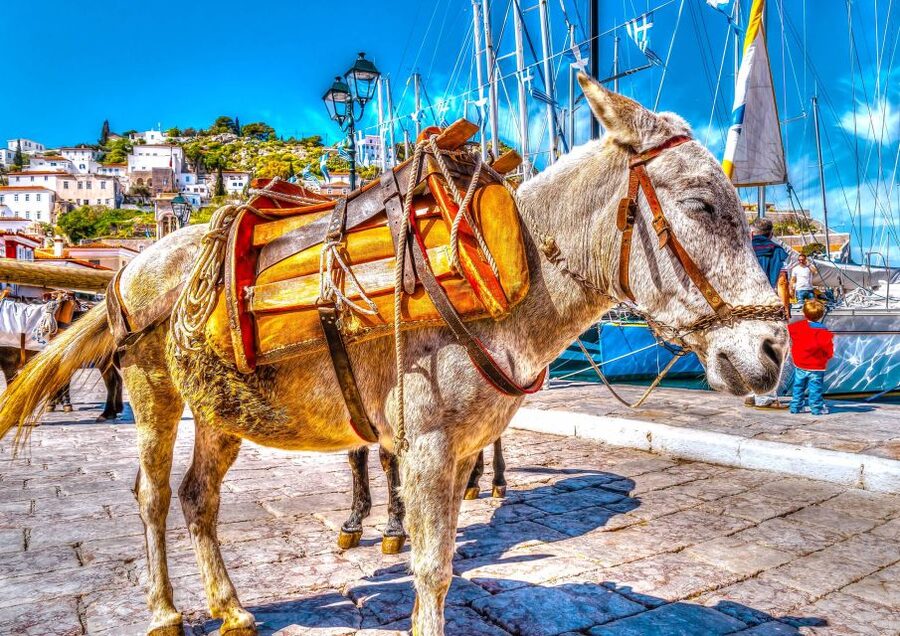 From Athens: Saronic Islands Full-Day Cruise with VIP Seats - Poros in About 50 Minutes: Pine Trees and the Clock Tower Pause