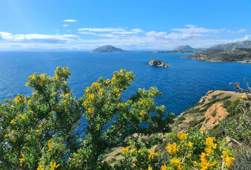 From Athens: Temple of Poseidon & Cape Sounion Half-Day Tour - The coach ride: comfort, WiFi, and myths on the way