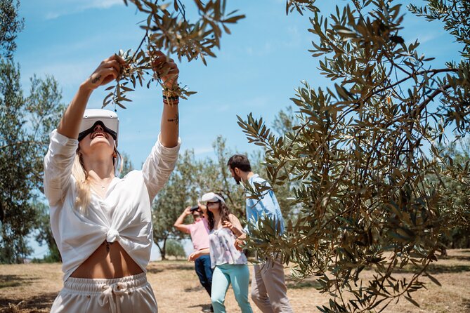 Full-Day Private Tour Corinth and Olive Oil Tasting from Athens - Price and Value at $234.57 Per Person