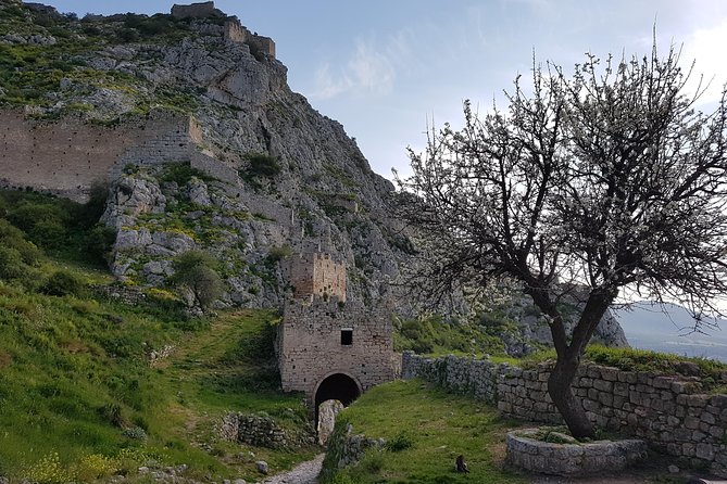 Full day tour Ancient Corinth with wine or olive oil tasting - What’s included, what’s not, and why that affects value