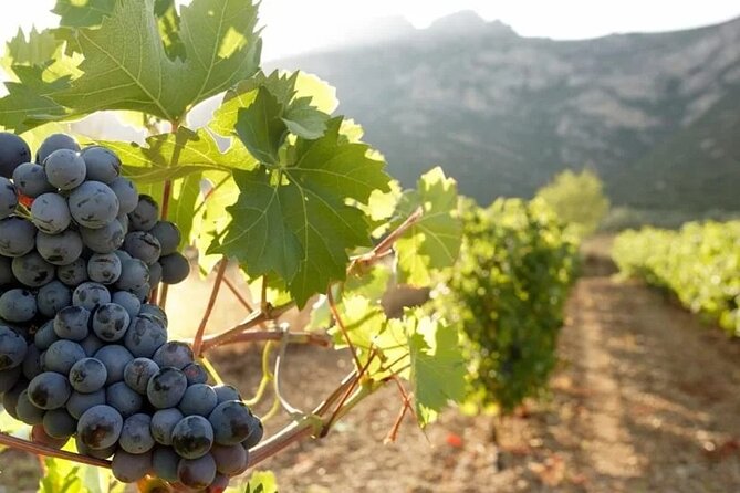 Greece Wine Roads: Athens, Nemea and Santorini - Day 2 Peloponnese and Nemea: Corinth Canal views plus Agiorgitiko
