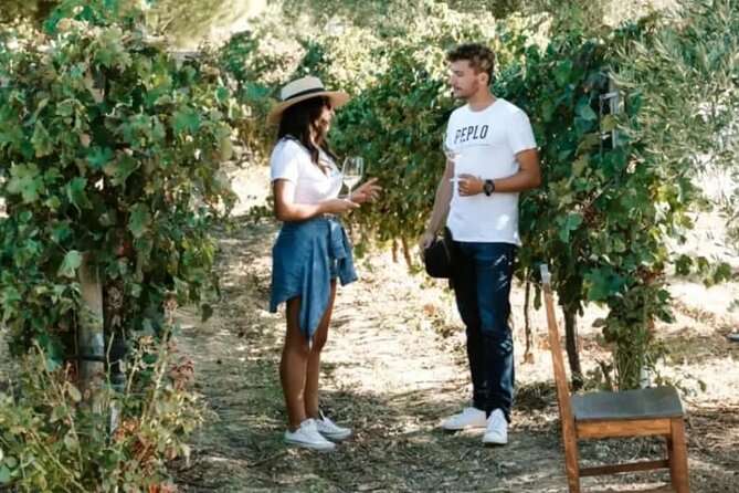 Greece Wine Roads: Athens, Nemea and Santorini - What’s included at wineries, and how that helps you enjoy tastings