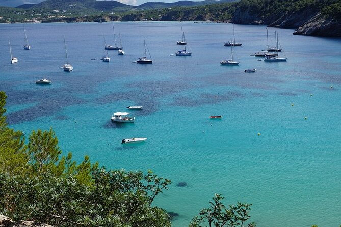 Half-Day Private Swimming Cruise along the Athenian Riviera - What’s included onboard, and what you’ll likely pay for