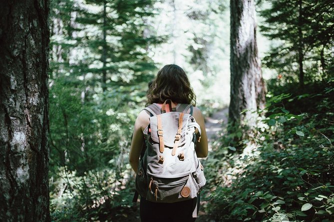 Hiking in Parnitha National Park Overlooking Athens - Why the guide matters, and what to look for in your experience