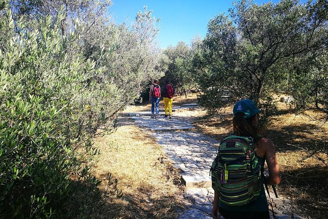 Hills Of Athens Walking Tour - Quick hits: what makes this Athens hill walk worth it