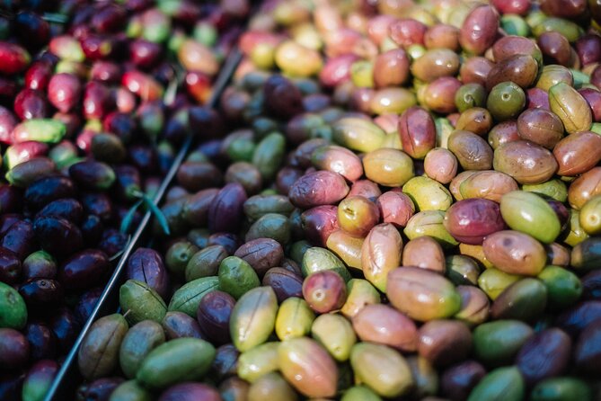 Keramikos Food Tour in Athens - What you eat in the weekly market, and why the choices work