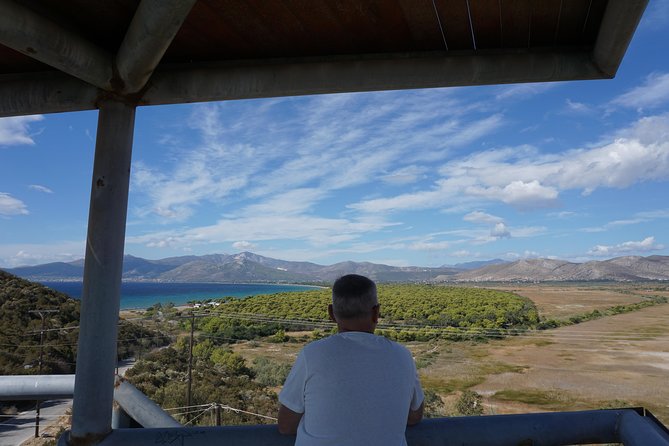 Marathon & Thermopylae Battlefields Private Day Tour from Athens - Pickup, Comfort, and How the Day Likely Feels