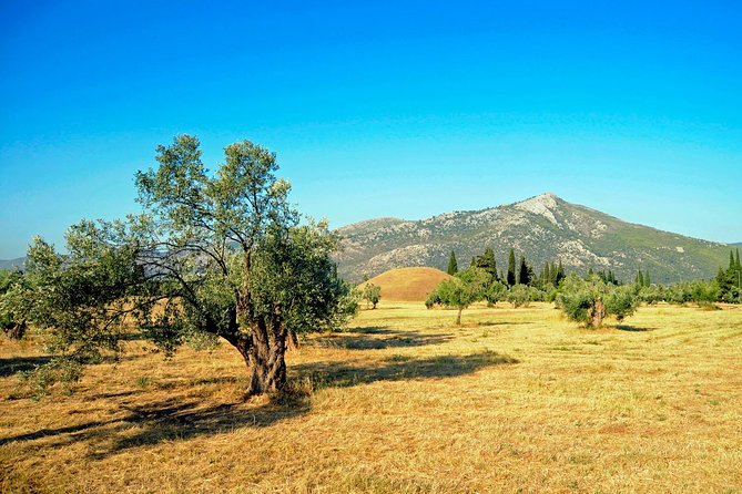 Marathon, Thermopylae, Thebes/Plataea, Herodotus Private Tour 10h - Thermopylae’s battlefield feel, plus the Leonidas-area museum