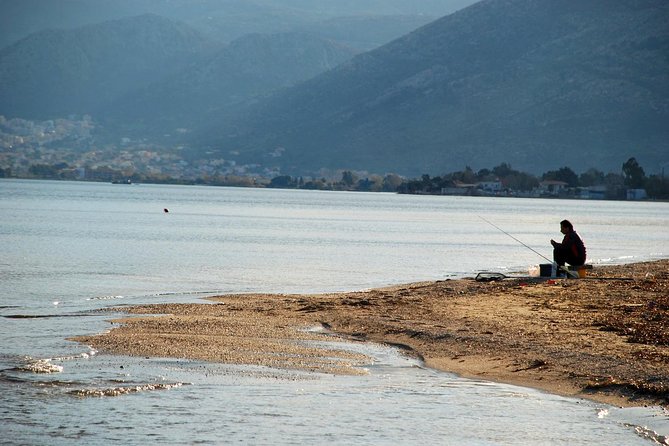 Marathon, Thermopylae, Thebes/Plataea, Herodotus Private Tour 10h - Thebes museum: long timeline viewing in one hour
