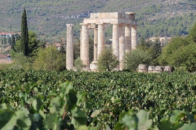 Nemea wine roads, The most famous wine tour in Greece - Key things to know before you go