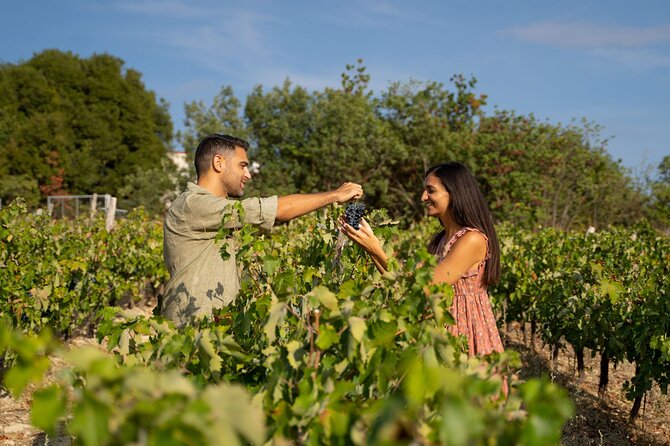 Nemea wine roads, The most famous wine tour in Greece - From your ship at Piraeus to Athens riviera, the drive sets the tone