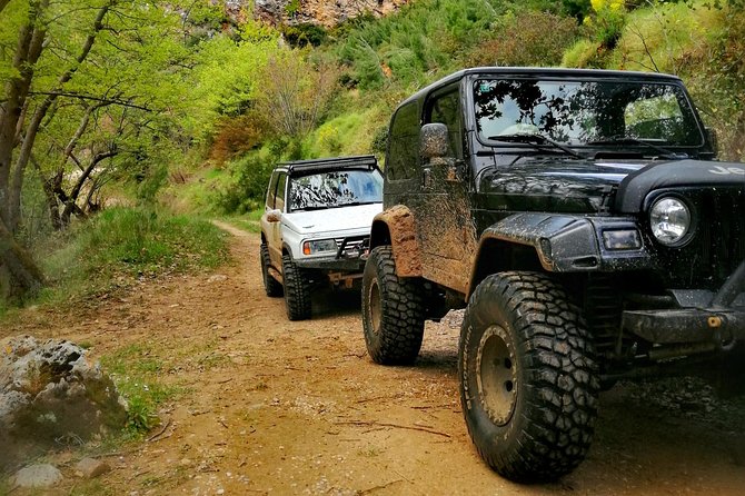 Off Road Experience from the Mountain to the Sea - Passenger vs driver time: ask early if you want the wheel
