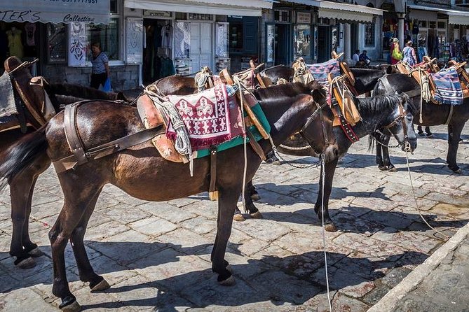 One Day Cruise to Hydra, Poros and Aegina from Athens - Hydra: cobblestone lanes, historic charm, and car-free exploring
