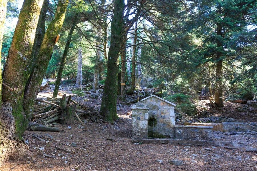 Parnitha (Parnis) / Skipiza & Mola loop - Hike near Athens - Key highlights that make this Athens-area hike worth it