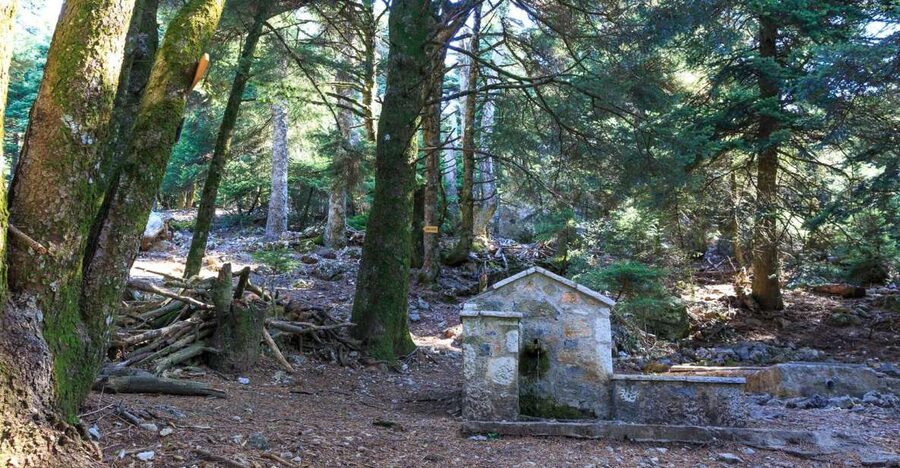 Parnitha (Parnis) / Skipiza & Mola loop - Hike near Athens - Parnis National Park Above Athens, Why the Skipiza and Mola Loop Works
