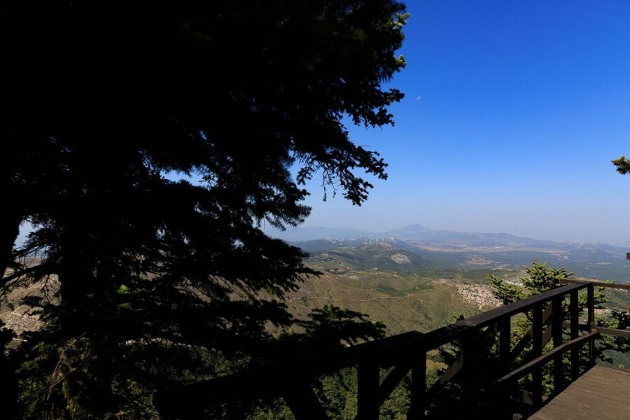 Parnitha (Parnis) / Skipiza & Mola loop - Hike near Athens - Guide Chris, English explanations, and why a private group changes the hike