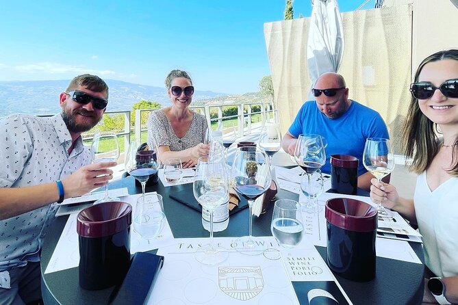 Premium Nemea Wine Tour from Athens, Nafplio or Nemea, with Oenologists - Timing and Logistics: Plan Your Day Like a Local